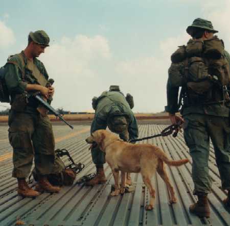 000LANCE2.JPG (19869 bytes)