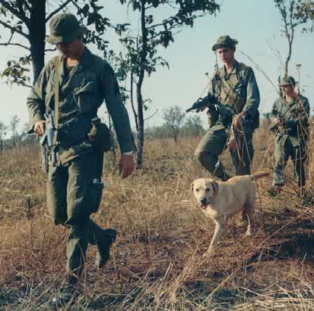 000LANCE3.JPG (33197 bytes)