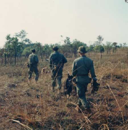 000LANCE_7.JPG (23570 bytes)