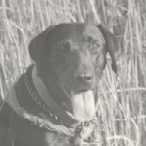 1BLACK.jpg (3899 bytes)