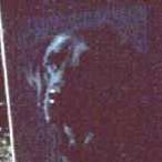 1Bryn..jpg (4368 bytes)