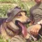 1Sabre.jpg (6049 bytes)