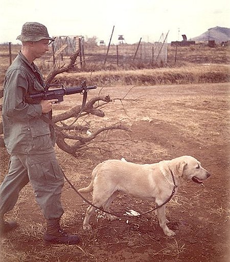 64th IPCT -20.jpg (77526 bytes)