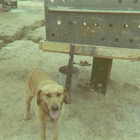 Afb010.JPG (21935 bytes)