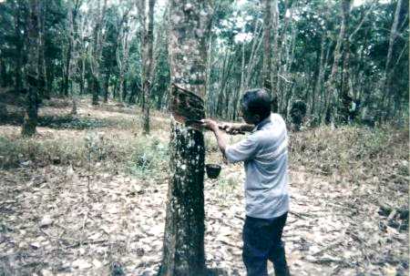 Ballard 10.jpg (31452 bytes)