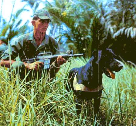 CTTa.jpg (38394 bytes)