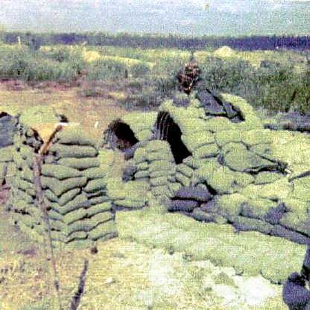 Cs 14.jpg (70377 bytes)