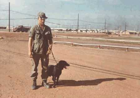 DR13b.jpg (13724 bytes)