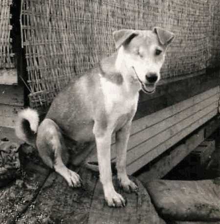 DR26B.jpg (26637 bytes)