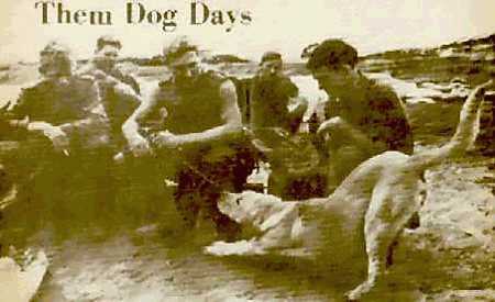 DR2b.jpg (18031 bytes)