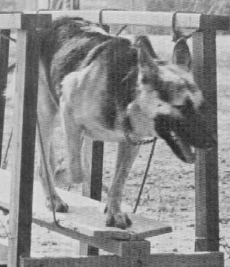 Hur5B.jpg (23131 bytes)