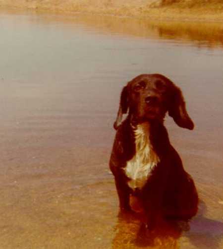 OTIS 4.JPG (13160 bytes)