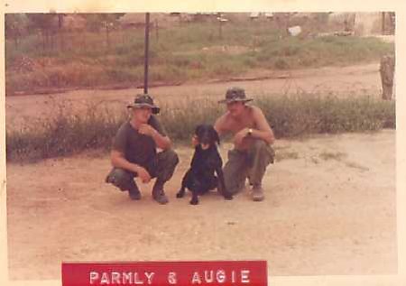 PZ 7 Parmly.jpg (23142 bytes)