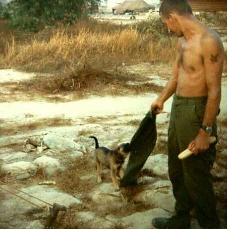 Steward 8.JPG (50528 bytes)